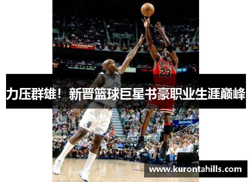力压群雄！新晋篮球巨星书豪职业生涯巅峰